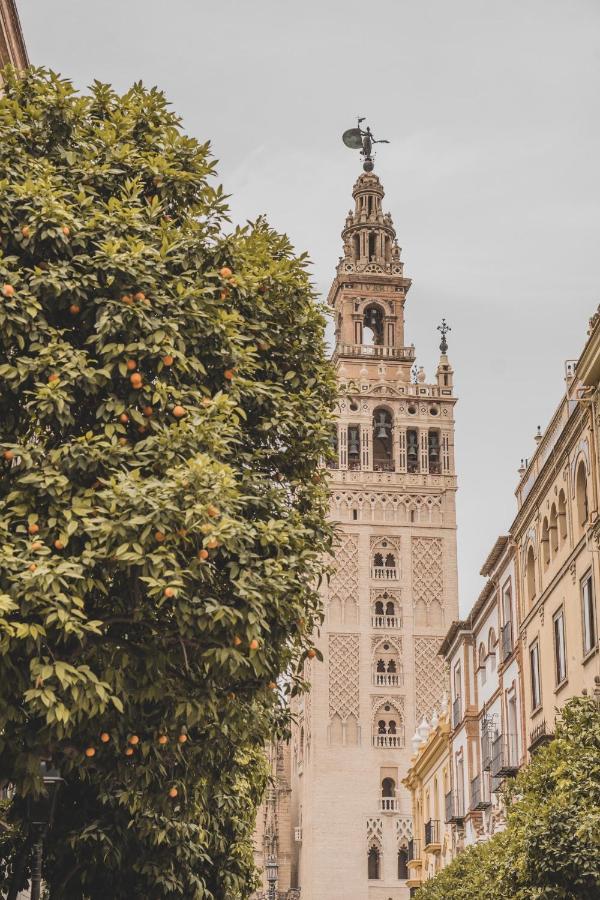 Apartamento Jardin De Santa Paula Sevilla Eksteriør billede