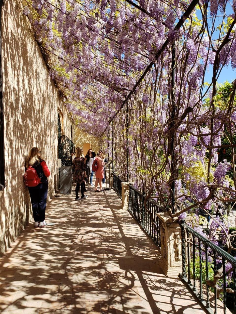 Apartamento Jardin De Santa Paula Sevilla Eksteriør billede